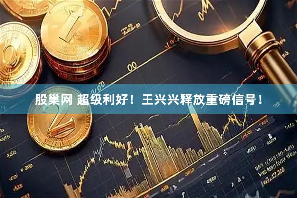 股巢网 超级利好！王兴兴释放重磅信号！
