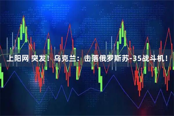 上阳网 突发！乌克兰：击落俄罗斯苏-35战斗机！