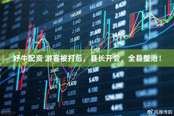 好牛配资 游客被打后，县长开会，全县整治！