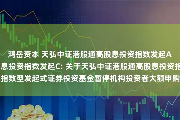 鸿岳资本 天弘中证港股通高股息投资指数发起A,天弘中证港股通高股息投资指数发起C: 关于天弘中证港股通高股息投资指数型发起式证券投资基金暂停机构投资者大额申购、定期定额投资业务的公告