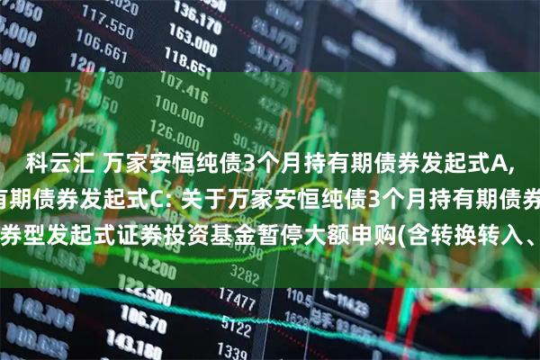 科云汇 万家安恒纯债3个月持有期债券发起式A,万家安恒纯债3个月持有期债券发起式C: 关于万家安恒纯债3个月持有期债券型发起式证券投资基金暂停大额申购(含转换转入、定期定额投资业务)的公告