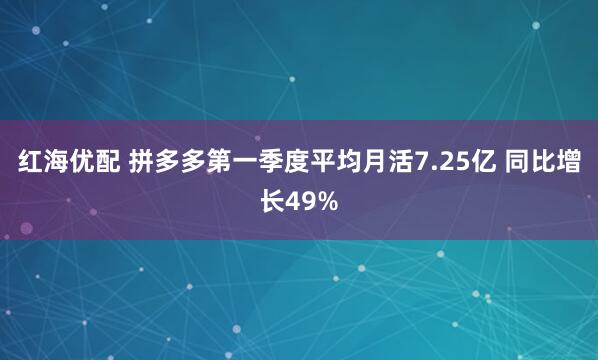 红海优配 拼多多第一季度平均月活7.25亿 同比增长49%