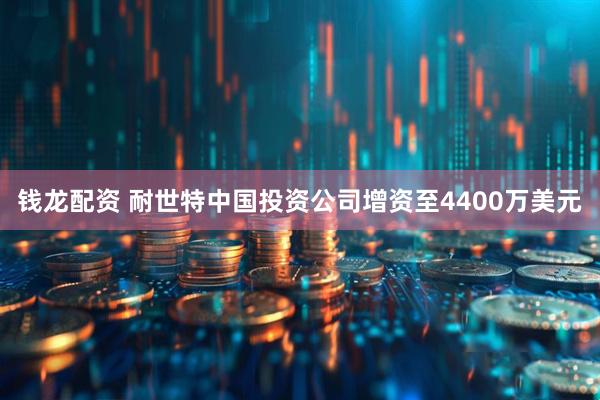 钱龙配资 耐世特中国投资公司增资至4400万美元